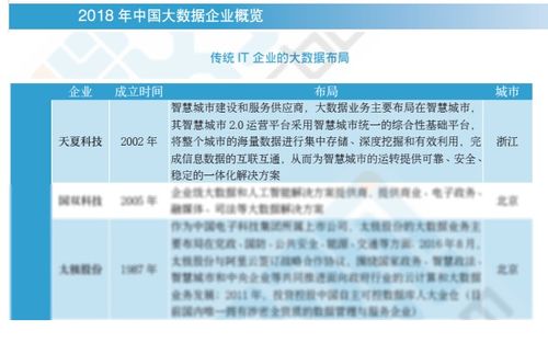 2018中國大數據企業報告出爐，天夏科技榮登IT企業大數據布局榜信息系統集成服務領域
